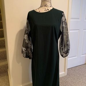 Jade Fitted Dress w/Black/White Lace Sleeves